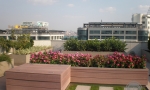 Delta, Novi Beograd