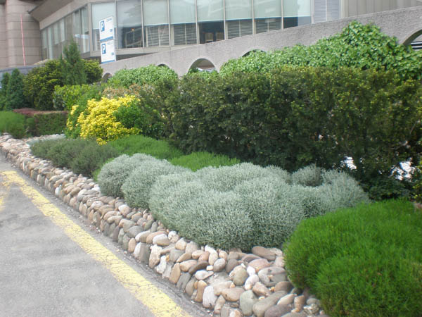 P4240318