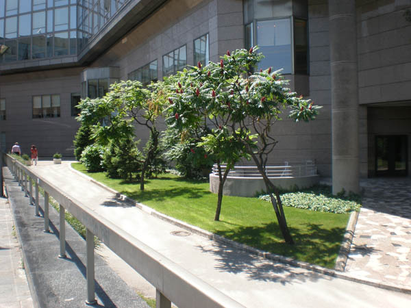P6170191